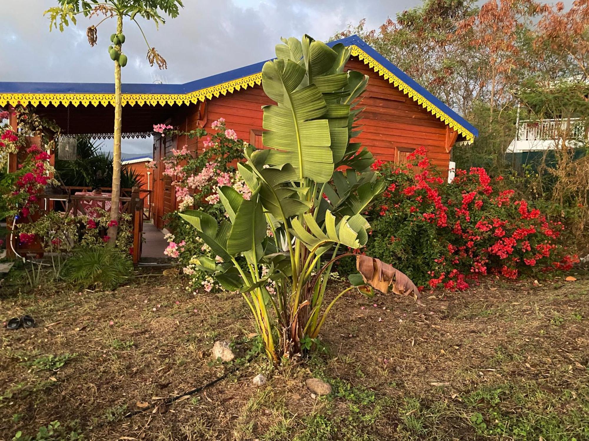 Bungalows Mathilde-Non Fumeur Bouillante Exterior foto